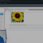 Python Object Detection OpenCV VDB Computational Biology