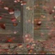 MW2 Spawn Fail FML