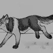 How To Make Animations Of A Running Wolf