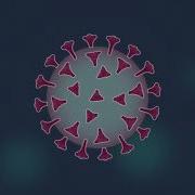 How Does Our Immune System Work