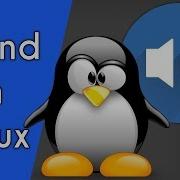 How To Use Alsamixer And Pulseaudio To Fix Linux Sound