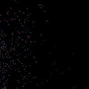 Flocking Proccessing Org