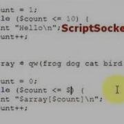Perl Tutorial 12 The While Loop The Until Loop