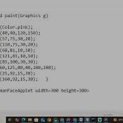 Human Face Applet BCA Java Program Step By Step Execution