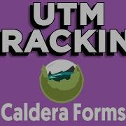 Caldera Forms UTM Tracking With HandL UTM Grabber Tracker For WordPress Website