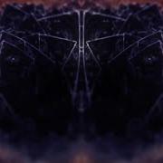 TOOL Descending Live Ontario 2024 New Lyrics