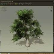 Unite 2014 SpeedTree For Unity 5