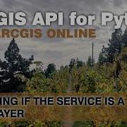 How To Check If An ArcGIS Online Feature Service Is A View Layer With The ArcGIS API For Python