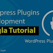 WordPress Plugins Development Tutorial In Bangla