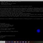 Netapp Cluster Setup