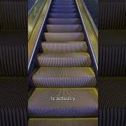 Why Escalator Steps Have Grooves Important