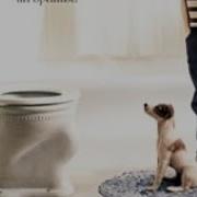 Opening To My Dog Skip 2000 VHS
