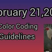 February 21 2026 Color Coding Guidelines