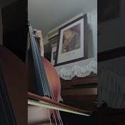 Essential Elements For Cello No 73 76