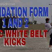 FOUNDATION FORM 1 AND 2 BASIC WHITE BELT KICKS