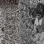 Insect Warfare Agoraphobic Nosebleed 5 Split FULL EP 2008 Grindcore