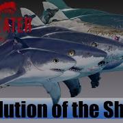 Maneater Evolution Of All Shark Sizes