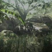 CryEngine 3 Rainy Jungle