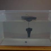 Using Waves To Generate Electricity