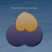 McG H How Enzymes Work