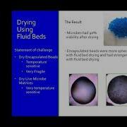 Fluid Bed Processing Drying Agglomeration Particle Coating Webinar With Dr Willie Hendrickson