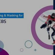 Data Profiling Masking For Oracle EBS DataZense ChainSys
