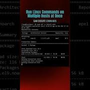 Pssh для запуска нескольких команд Linux