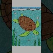 How To Draw A Sea Turtle Drawing Artprojectsforkids