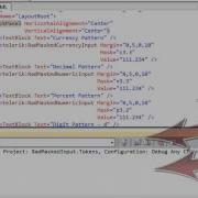 MaskedInput Part 2 Tokens Silverlight WPF
