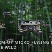 Swarm Of Micro Flying Robots In The Wild All
