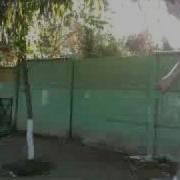 Que Embarra Naxo Mp4