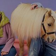 Dan And Phil And A Tiny Horse