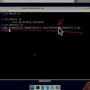 Work On The Command Line Understand The Shell And Some Common Commands Features