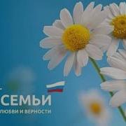 Большой праздничный концерт посвящённый дню семьи любви и верности Тепло и свет домашнего очага