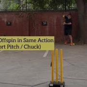 Legspin Offspin In Same Style Tennis Cricket Short Pitch