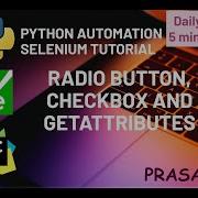 День 12 Радиокнопка флажок и получение атрибутов Учебное пособие по Python Selenium Python S