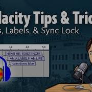 Audacity Tips Tricks Tracks Labels Sync Lock