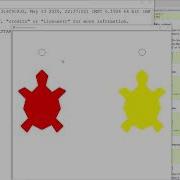 Python Turtle 12 Turtle Race Automatic Winner Detection
