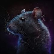 Darkcomet неубеваемый билд