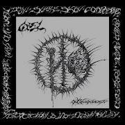 GEL ONLY CONSTANT 2023 Full Album