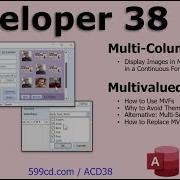 Microsoft Access Developer 38 VBA For Multivalued Fields Images In Form Columns Image Gallery