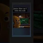Senior Programmers Vs Junior Developers Shorts