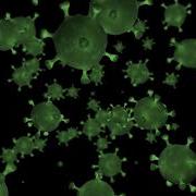 COVID 19 Novel Corona Virus Loop Animated Background Royalty Free Footage Free Download