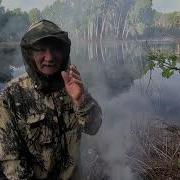 Поймать карасей Встретил медведя что делать