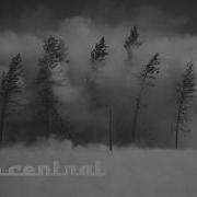 Nuclear Weapon Effects On Trees