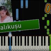 Çalıkuşu Piyano Nasıl Çalınır