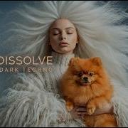 No DISSOLVE Melodic Dark Techno
