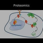 Genomics Transcriptomics And Proteomics