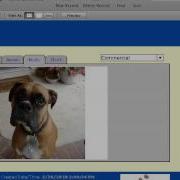 FileMaker Tutorial 143 Importing A Folder