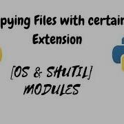 Copy Files With Certain Extension Or Characters In The Path Shutil Module Python Os Module